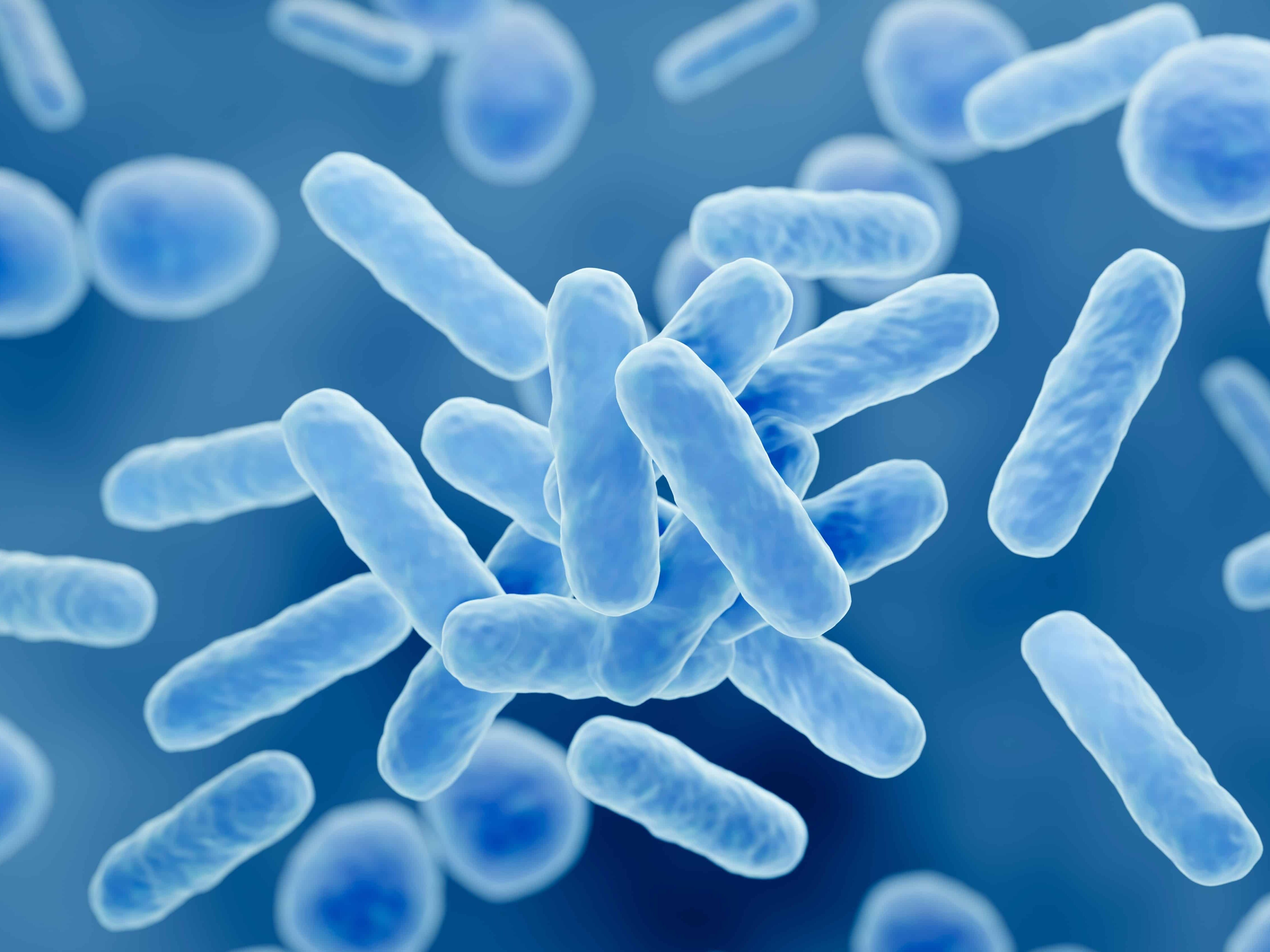 Probiotics