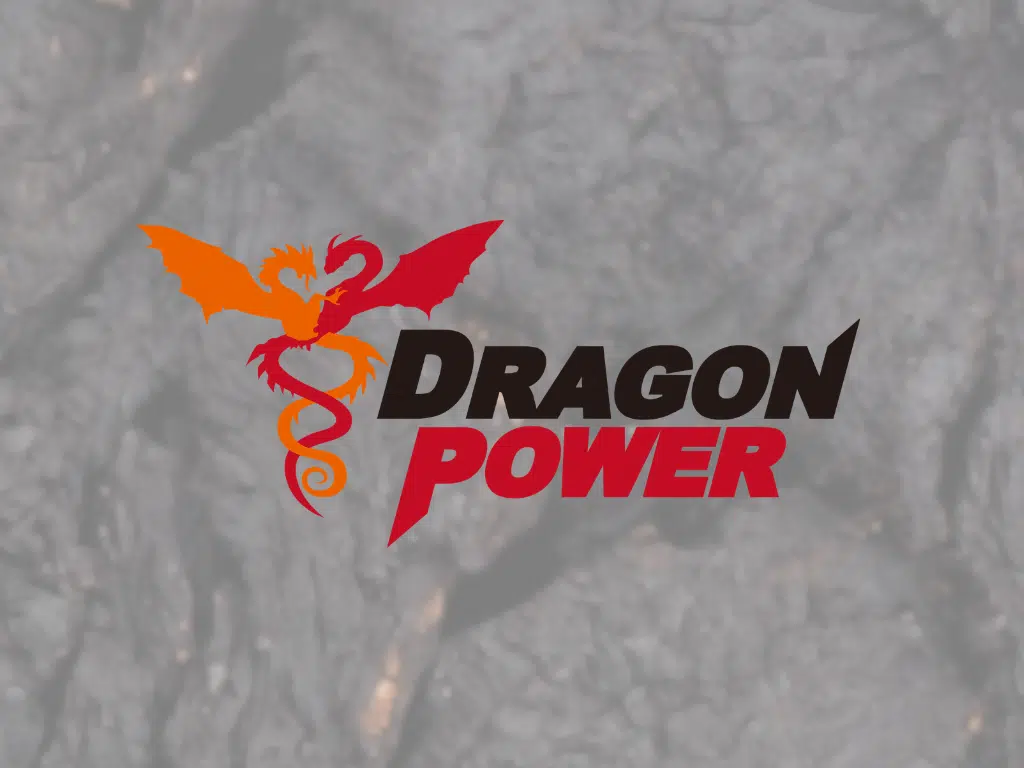Dragon Power®-Energy Booster